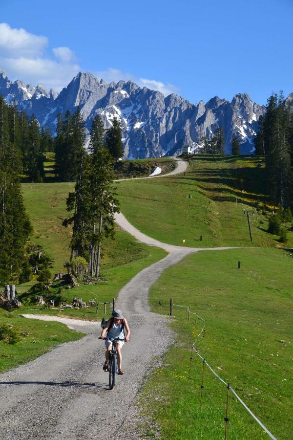 Pension Edelweiss Top21 Gosau Εξωτερικό φωτογραφία