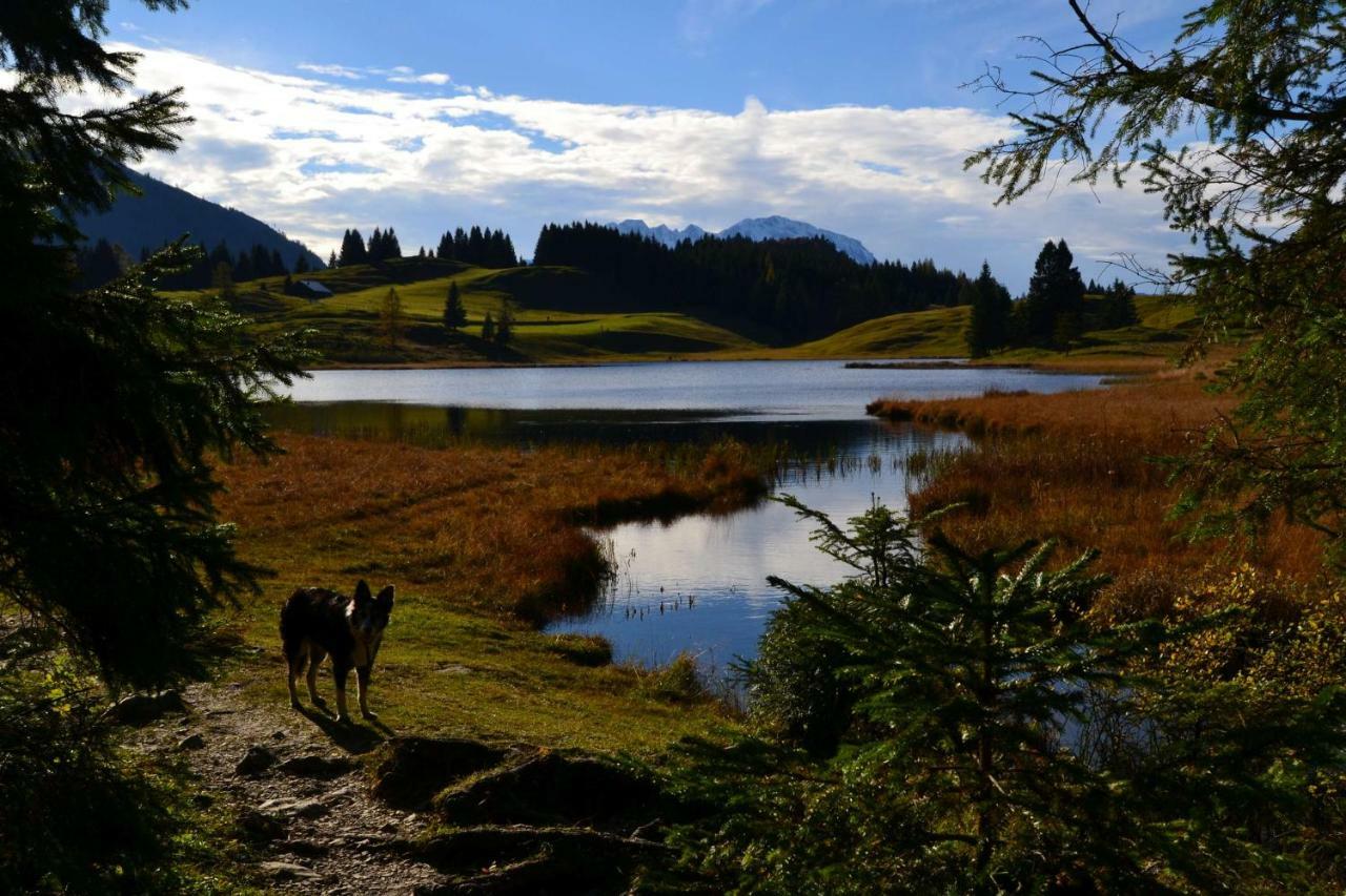Pension Edelweiss Top21 Gosau Εξωτερικό φωτογραφία
