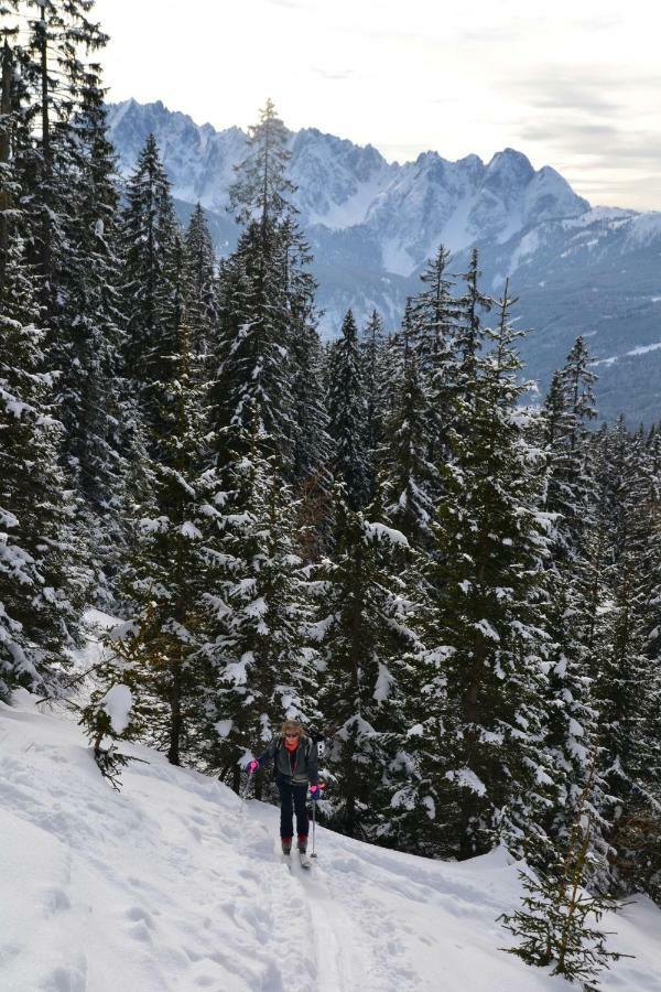 Pension Edelweiss Top21 Gosau Εξωτερικό φωτογραφία
