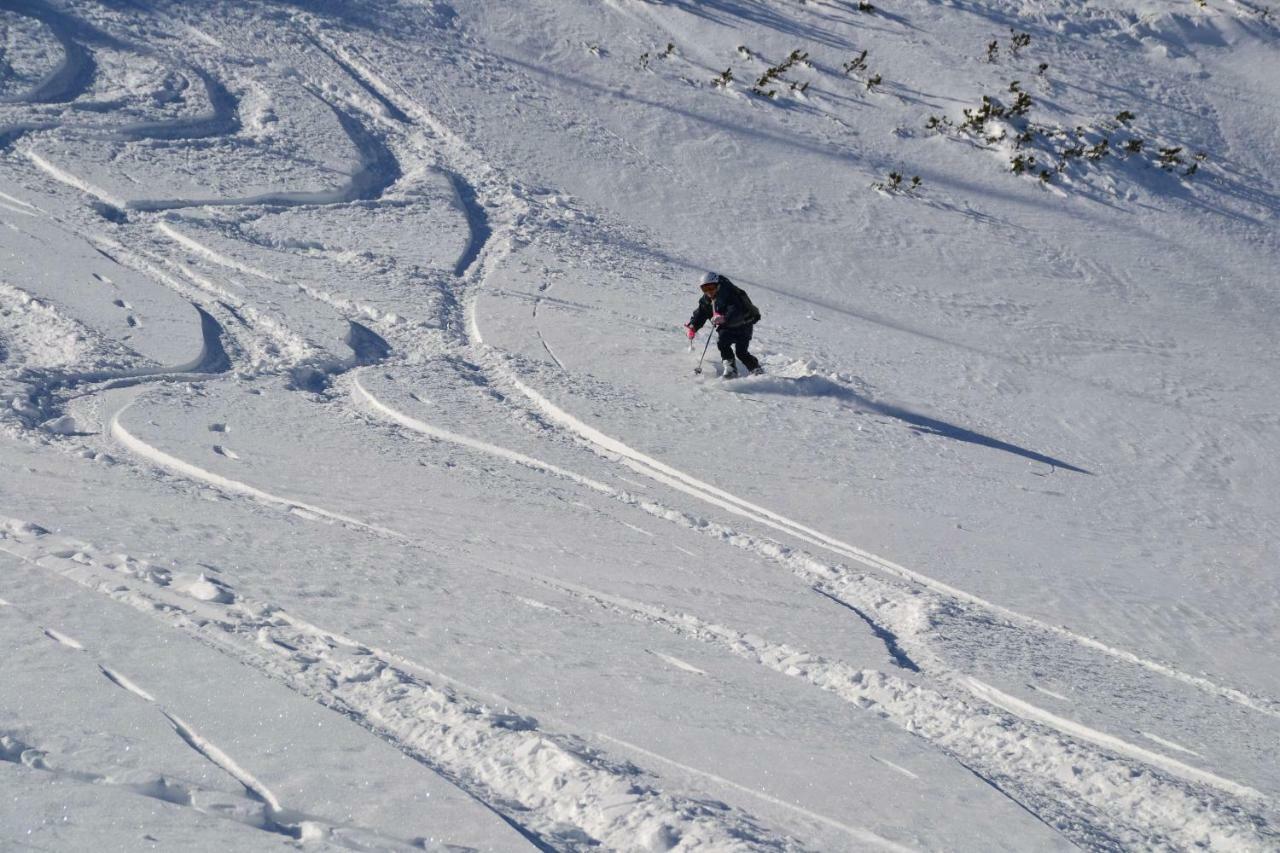 Pension Edelweiss Top21 Gosau Εξωτερικό φωτογραφία