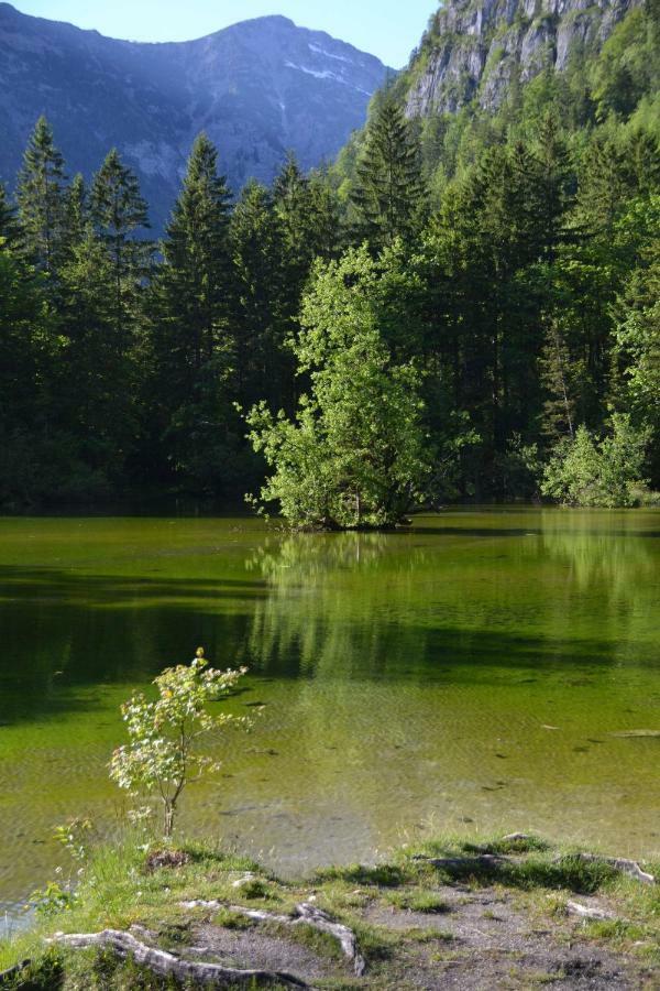 Pension Edelweiss Top21 Gosau Εξωτερικό φωτογραφία
